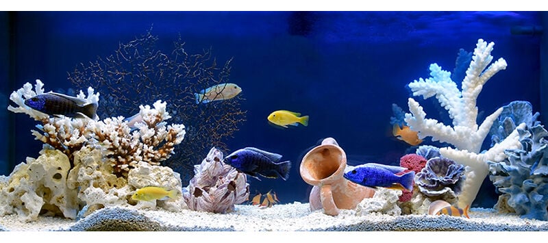 The Latest Filtration Innovations